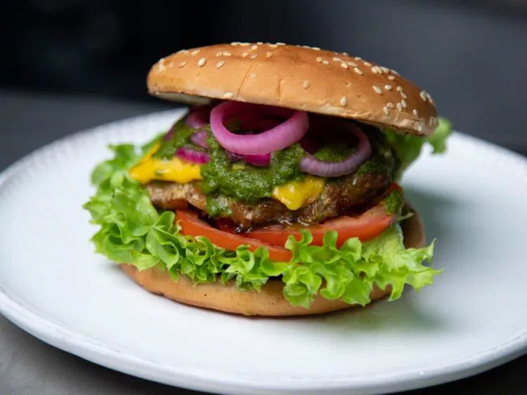 Chapli Kabab Burger middletown ny