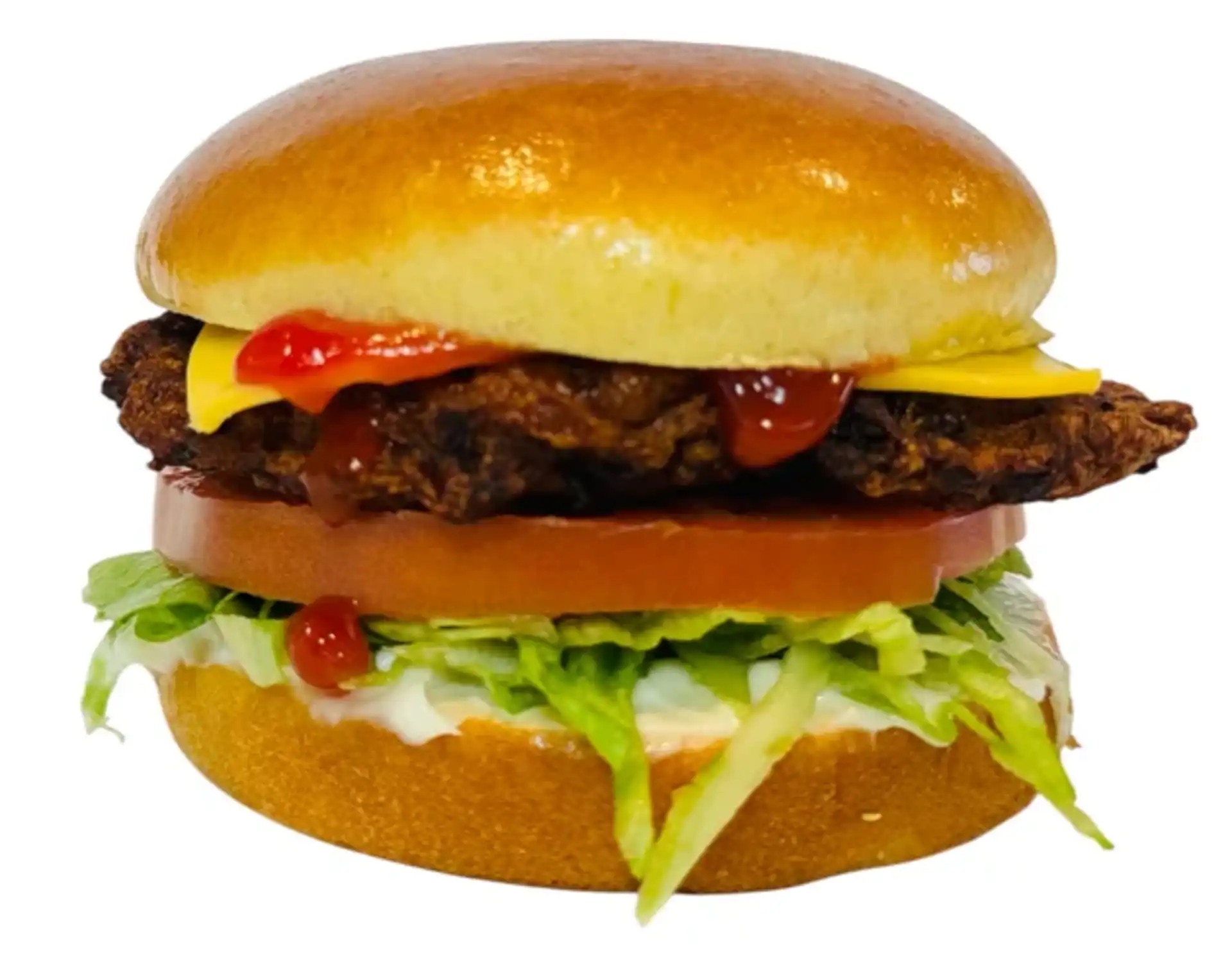 Chicken Burger ONLY