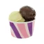 Ice Cream Cup 2 Scoops